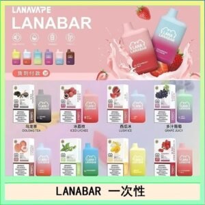 LANA BAR可充电一次性電子煙霧化5000口(3.0%)