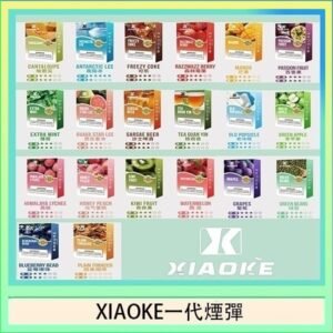 XIAOKE梟客煙彈一代電子菸彈3顆入適配一代主機